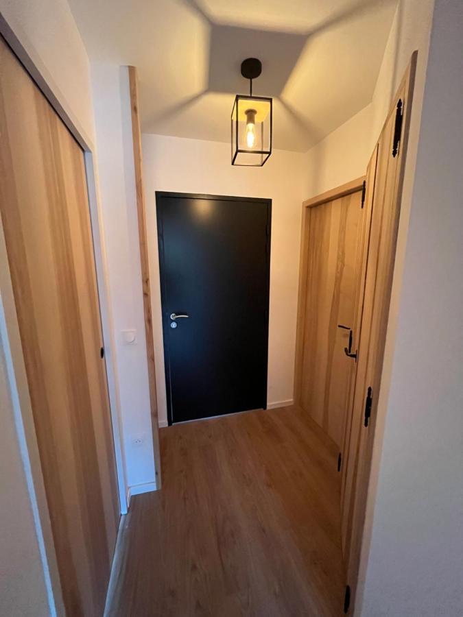 Appartement Aux Pieds Des Pistes De Ski Laveissiere Bagian luar foto