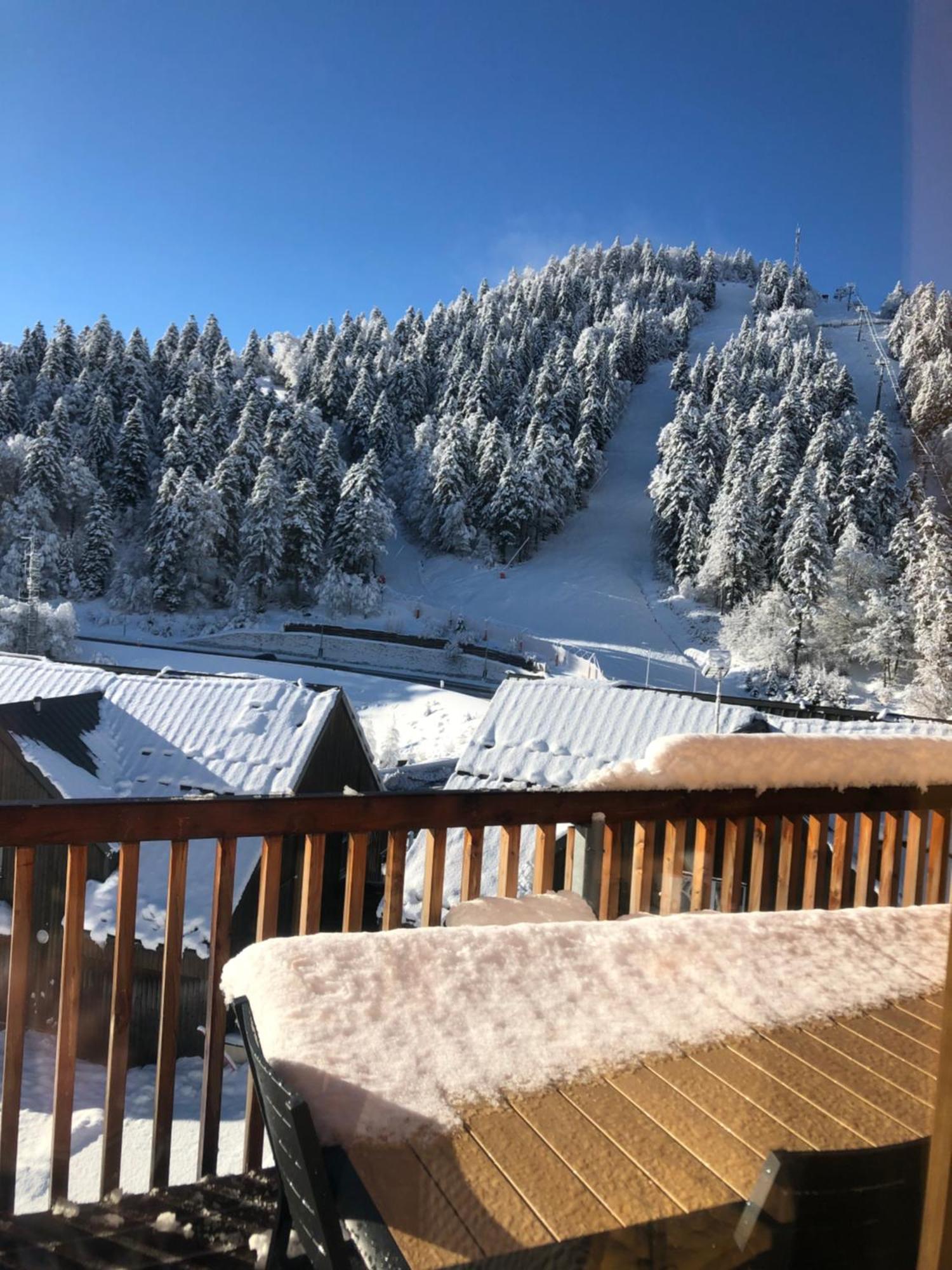 Appartement Aux Pieds Des Pistes De Ski Laveissiere Bagian luar foto