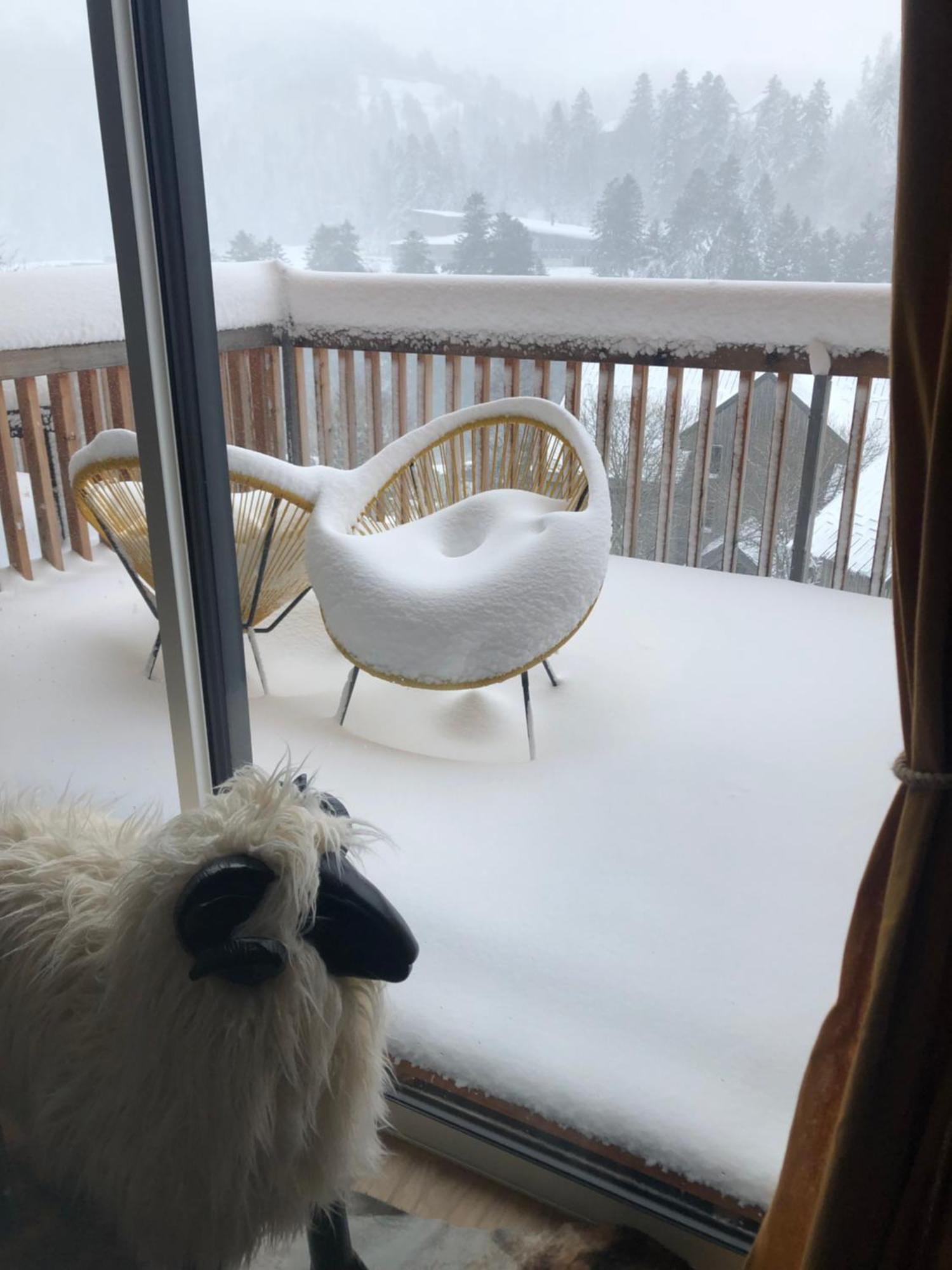 Appartement Aux Pieds Des Pistes De Ski Laveissiere Bagian luar foto